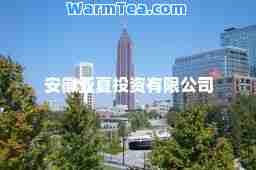 安徽亚夏投资有限公司