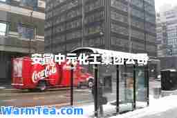 安徽中元化工集团公司