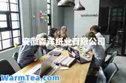 安徽森洋纸业有限公司