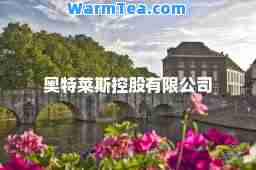 奥特莱斯控股有限公司