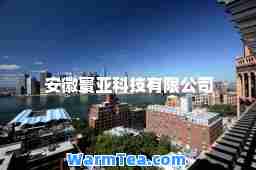 安徽寰亚科技有限公司