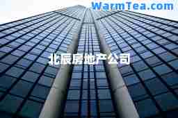 北辰房地产公司