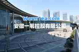 安徽一苇控股有限公司