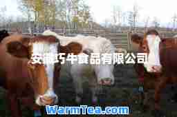 安徽巧牛食品有限公司