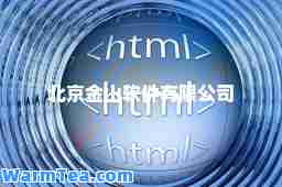 北京金山软件有限公司