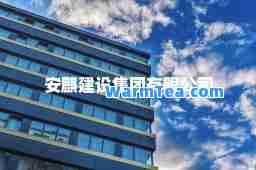 安麒建设集团有限公司
