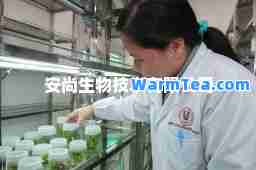 安尚生物技术有限公司