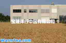 宝隆洋行中国有限公司