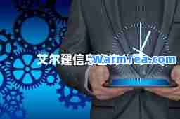 艾尔建信息咨询公司