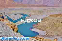 巴江水公司