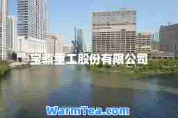 宝鼎重工股份有限公司