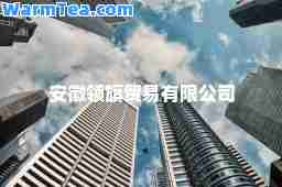 安徽领旗贸易有限公司