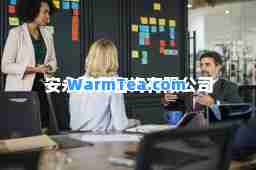 安永财务咨询有限公司