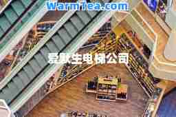爱默生电梯公司