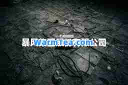 暴风集团股份有限公司