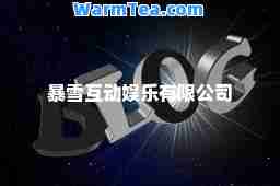 暴雪互动娱乐有限公司