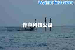伴鱼科技公司
