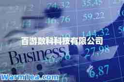百游数科科技有限公司