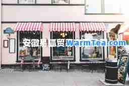 安徽易狐贸易有限公司