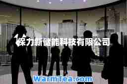 保力新储能科技有限公司