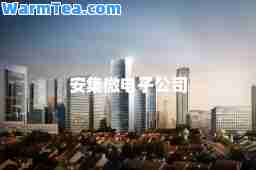 安集微电子公司