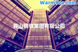 鞍山钢铁集团有限公司