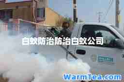 白蚁防治防治白蚁公司