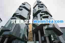 阿兹夫定龙头上市公司