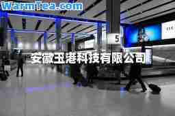 安徽玉港科技有限公司