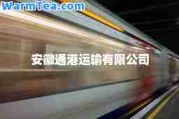 安徽通港运输有限公司