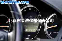 北京布莱迪仪器仪表公司