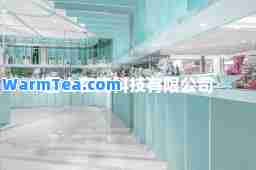 巴士在线科技有限公司