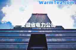 安徽省电力公司