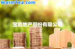 宝能地产股份有限公司