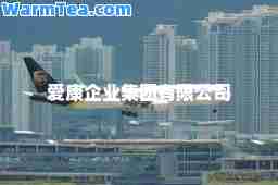 爱康企业集团有限公司