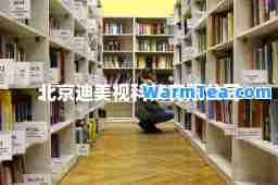 北京迪美视科技有限公司