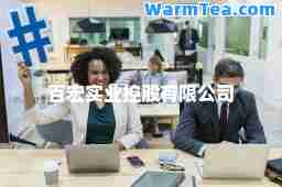 百宏实业控股有限公司