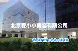 北京爱小小美容有限公司