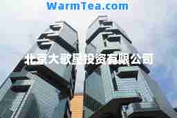 北京大歌星投资有限公司