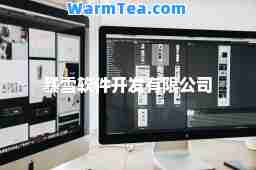 暴雪软件开发有限公司