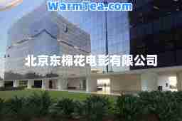 北京东棉花电影有限公司