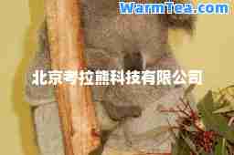 北京考拉熊科技有限公司