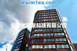 安徽优瑞家科技有限公司