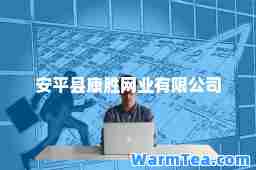 安平县康胜网业有限公司