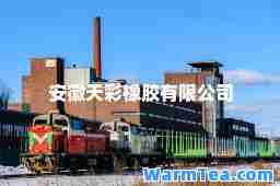 安徽天彩橡胶有限公司