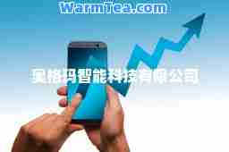 奥格玛智能科技有限公司