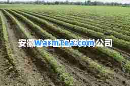 安徽省农业生产资料公司