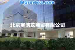 北京宝洁龙商贸有限公司