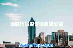 埃森哲投资咨询有限公司