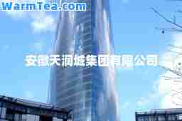 安徽天润城集团有限公司